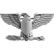 Colonel Colonel